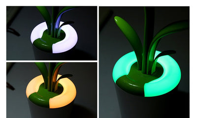 LED Lamp Evening Ambiance